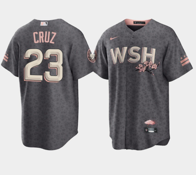 Men's Washington Nationals #23 Nelson Cruz 2022 Grey City Connect Cherry Blossom Cool Base Stitched Jersey-0