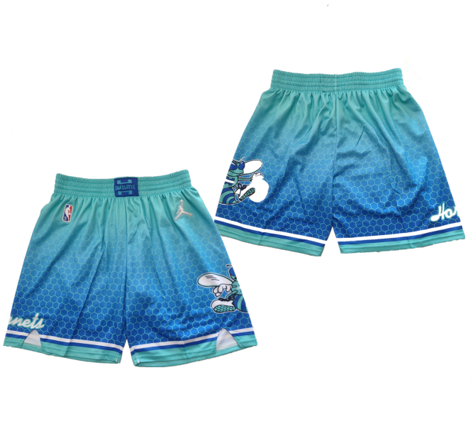 Men's Charlotte Hornets 75th Anniversary Blue Mitchell&Ness Shorts (Run Small)-0