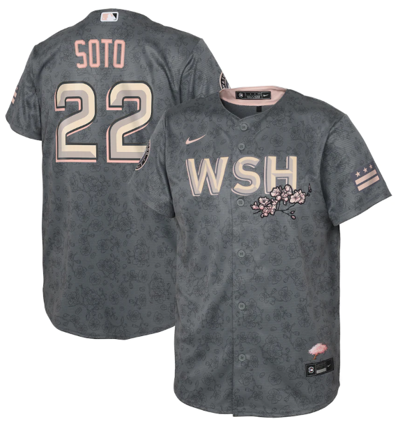 Youth Washington Nationals #22 Juan Soto 2022 Grey City Connect Cherry Blossom Stitched Baseball Jersey-0